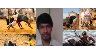 Save Jallikattu | Madan Gowri | MG