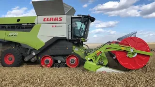 Two Claas Lexion 8700 TT combines with Convio 1230 draper header in wheat harvest, Eastern Germany