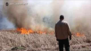 Prescribed Fire or Controlled Burn - Dangerously beneficial to your land. CD TV Ep. 10