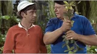 Gilligan's Island - A Hanging Offense