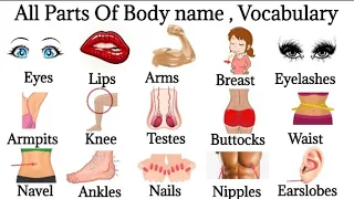 80 Basic Parts Of Body | Body Parts In English | Listen And Practice #learnenglish #bodyparts