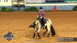 Tinseltowns Shadow ridden by Stefano Calcagnini  - 2015 NRHA Futurity (Open Futurity First Go)