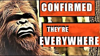 Sasquatch | These THINGS are EVERYWHERE