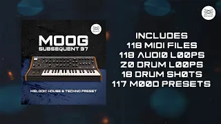 Moog Subsequent 37 : Melodic House & Techno Presets [Audioreakt]