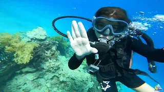 Shani is diving in Eilat, The Dolphin Reef