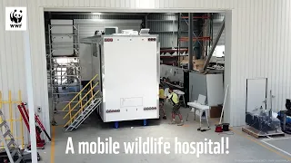 A Wildlife Hospital on Wheels! | WWF-Australia