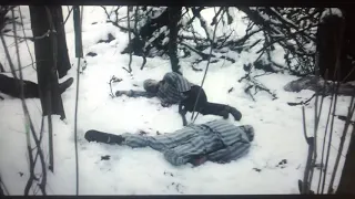 El fotógrafo de Mauthausen