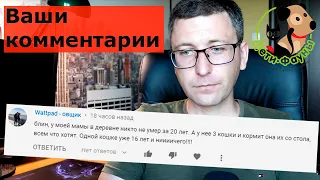 Отвечаю на ваши 10 комментариев