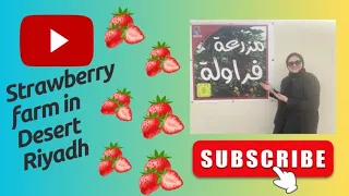 UNLIMITED STRAWBERRY FARM RIYADH