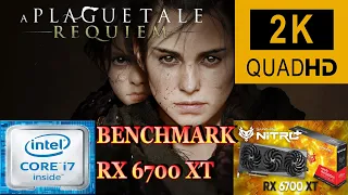 A Plague Tale: Requiem | RX 6700 XT |i7-9700K | 1440p High Settings