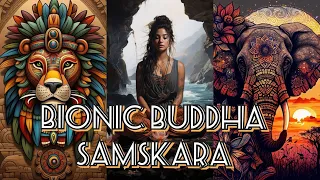 Music: BIONIC BUDDHA- SAMSKARA