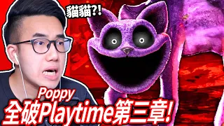 【有感筆電】全破Poppy Playtime第三章！睡睡貓好可愛🥰怎麼被嚇到?? 尖叫超過10次就到Roblox跟馬桶人說對不起！【直播】