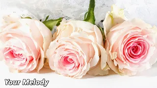 Самая красивая мелодия в мире🌹Эту музыку можно слушать вечно🌹Сергей Грищук #12