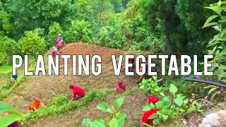 Monks doing work in field  at Tergar Monastery, Kathamandu Nepal.