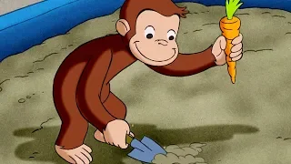 Curious George 🐵The Magic Garden 🐵Kids Cartoon 🐵Kids Movies | Videos For Kids