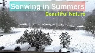 Mysterious Phenomenon: Snowing in Summers #snowing #relaxingvideo #calmingmusic #soothingrelaxation
