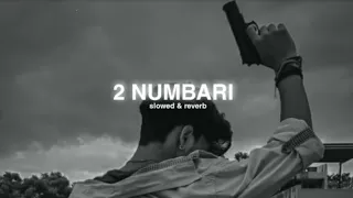 2 Numbari [ Slowed + Reverb ] | Tu Mane Bta Tere Maa Bapu Ne | 2 Numbari song