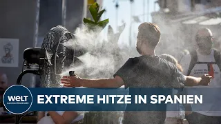 BITTE UM NOTHILFE: Pferd fällt tot um - Extreme Hitzewelle und Dürre rollt über Spanien