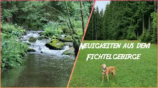 Neuigkeiten aus dem Fichtelgebirge