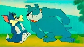 Tom And Jerry English Episodes - The Framed Cat - Cartoons For KidsHD 2019