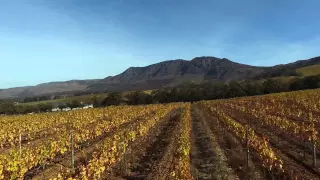 Drone Expeditions DJI Phantom 3 professional 4k FULL HD - WineLands - Cape Town - South Africa