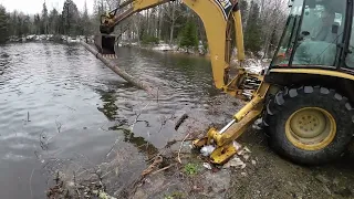 Dealing with pesky beavers