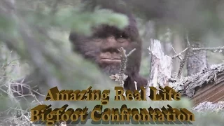 Amazing Bigfoot confrontation witnessed by University Professor