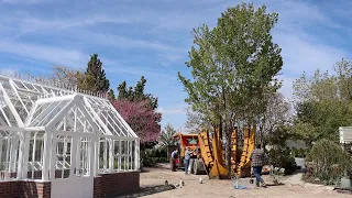 Installing 3 MASSIVE Trees in Our Garden! 🌳🤩🌲 // Garden Answer