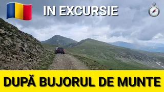 In excursie dupa bujorul de munte : Touareg❌️Raptor❌️ Frontera❌️Discovery❌️Duster (bonus un zimbru)