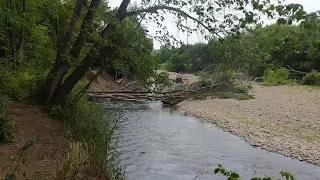 Силинка в Комсомольске-на-Амуре. 21.07.2023