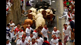 3 runners gored racing with bulls at Pamplona's festival