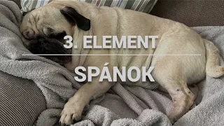 3. ELEMENT - SPÁNOK A REGENERÁCIA