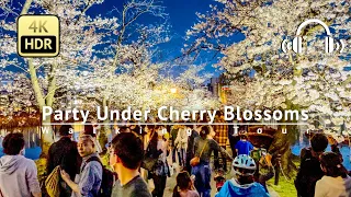 Tokyo : Party Under Cherry Blossoms Walking Tour - Tokyo Japan [4K/HDR/Binaural]