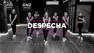 DESPECHA - Rosalia | Coreografía Oficial Dance Workout | DNZ Workout | DNZ Studio