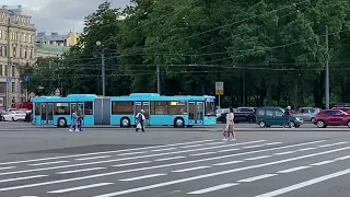 Лазурный автобус для Петербурга