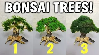Making 3 Easy Aquarium Bonsai Trees For Your Planted Tank
