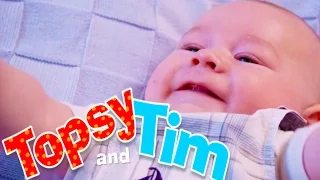 Topsy & Tim 127 - BABY JACK | Topsy and Tim Full Episodes