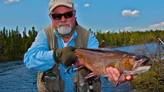 Dry Fly Brook Trout | Labrador Three Rivers Lodge