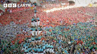 Can This Human Tower Defy Gravity? | Forces of Nature | BBC Science