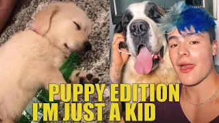 Puppy Edition-I'm Just a Kid