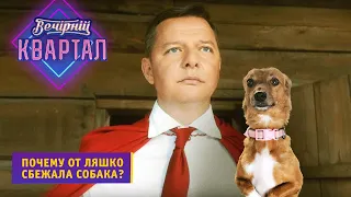 Почему от Ляшко сбежала собака?