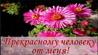 Прекрасному человеку от меня!