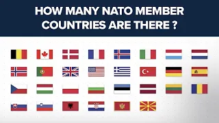 How many NATO member countries are there?