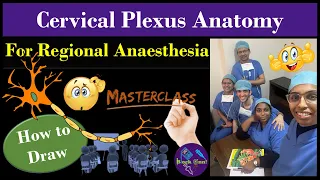 Memorizing Cervical Plexus Anatomy | Cervical Plexus Block | Made Easy | How to draw | Easiest way