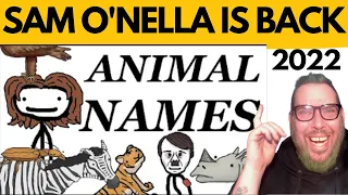 SAM O'NELLA - Where Animals' Scientific Names Come From | History Teacher REACTION