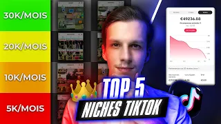 Les 5 Niches Tiktok Les Plus Rentables (Programme de Rémunération Bêta Tiktok)