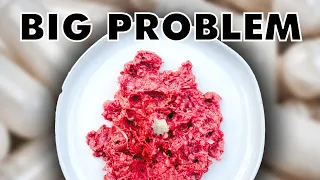 The Growing Problem With Homemade Pet Food