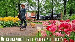 De Keukenhof, EXPECTATIONS vs REALITY - Vanlife NL