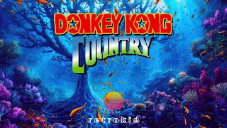 Aquatic Ambience [SYNTHWAVE REMIX] | Donkey Kong Country OST✨