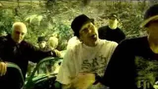 Kottonmouth Kings "Where's the Weed At?"